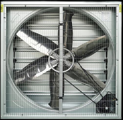 Image of a product
