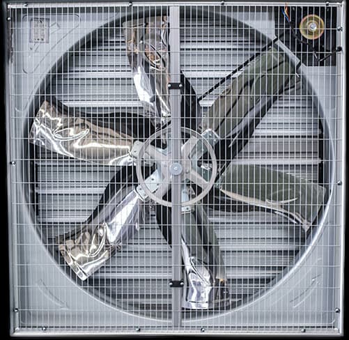 Image of a product